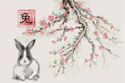 属兔2022年多大，属龙的2022 年多大