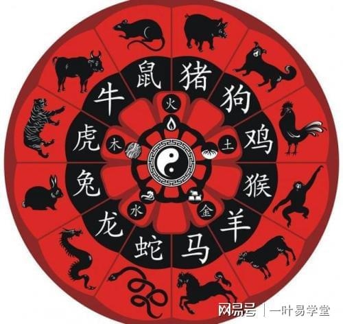 屬兔和屬什么相沖，屬鼠跟什么屬相最配