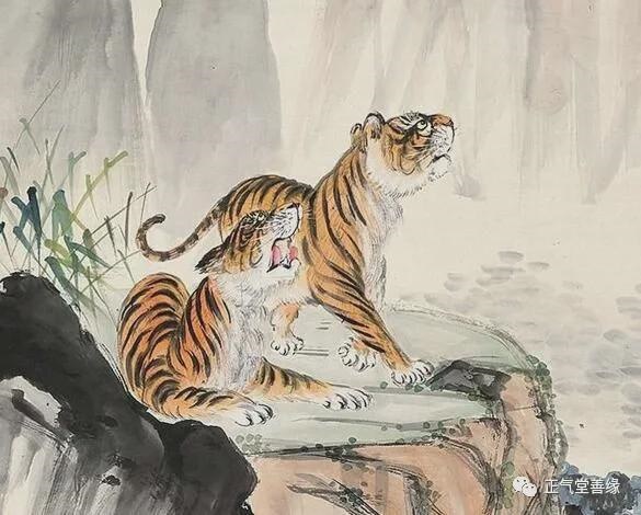 022年属虎人运势如何，2022年必定生儿子的生肖"