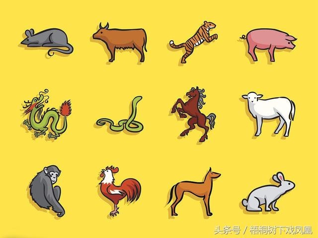 算命婚姻属相配对口诀，生肖配对怎么记忆