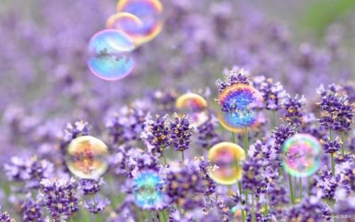 男猪属相和哪个属相最合,属猪人2022 年运势