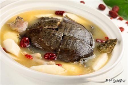 男人调养身体的食谱，男性养生茶都有哪些