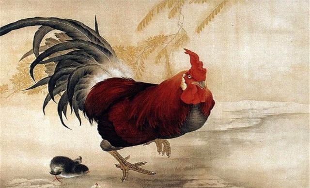 属鸡女2022年及未来三年运势,12生肖运势2022 年运势详解势详解