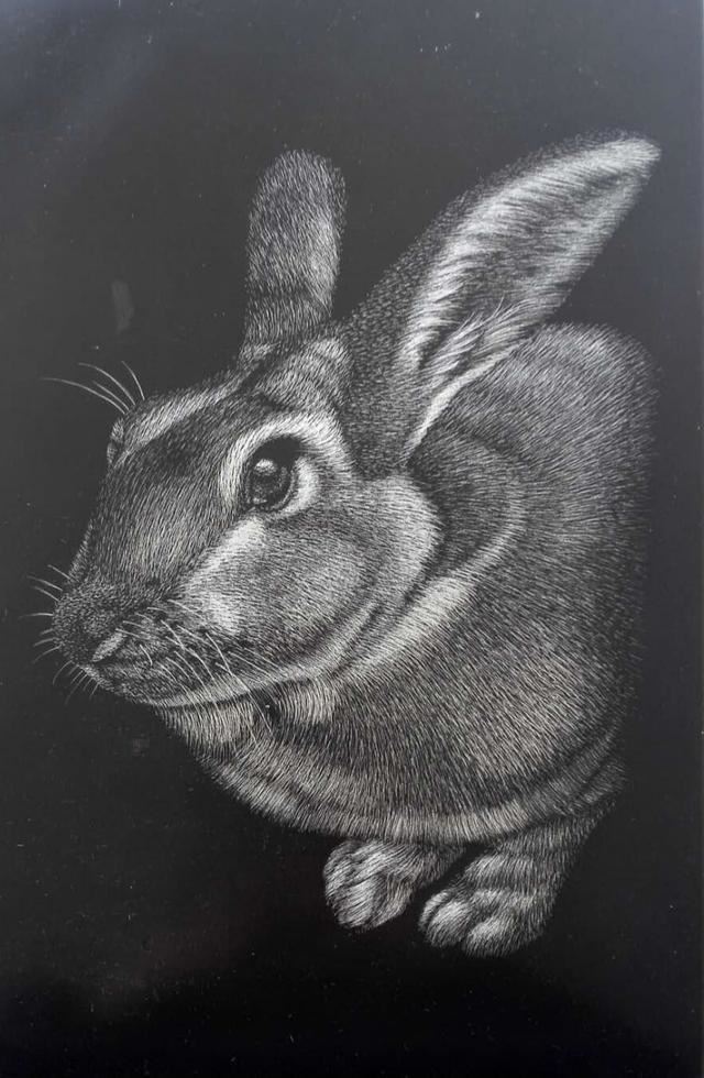 2年属狗的交运时间表,82年属狗十年大运2022