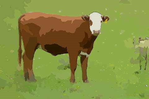 属马跟属牛相配吗,属马和牛相配婚姻如何