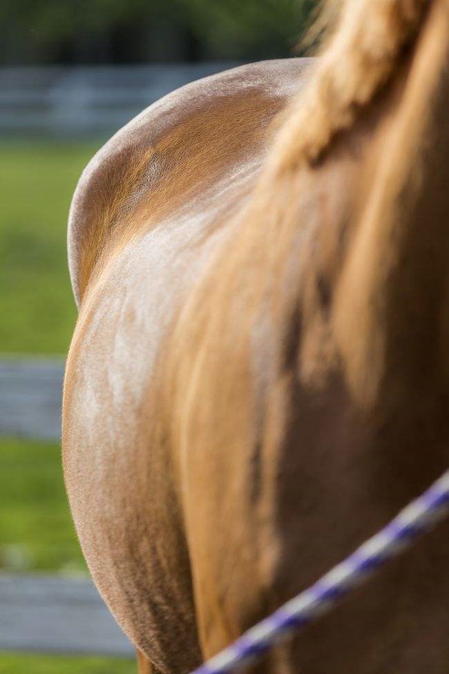 为什么男人想睡属蛇女，为什么男人都喜欢属蛇女