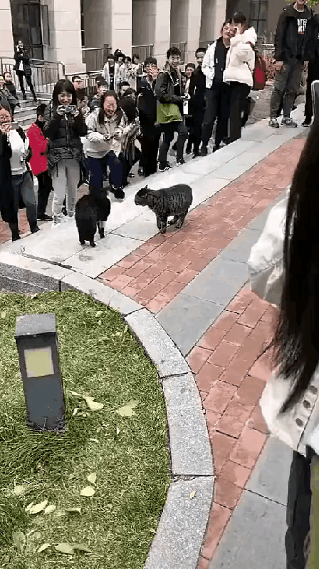 属猴的和属虎的相差几岁，男猴子大女虎6岁