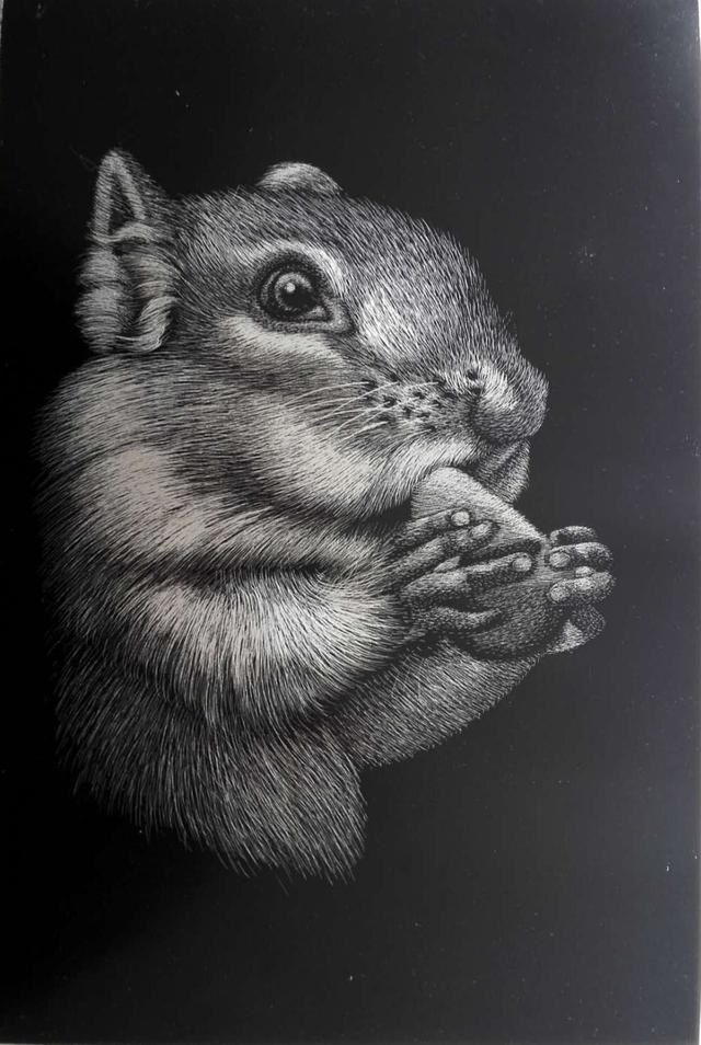 2年属狗的交运时间表,82年属狗十年大运2022