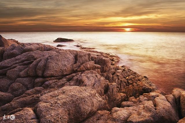 属猪女适合做什么生意,属猪女适合做生意吗