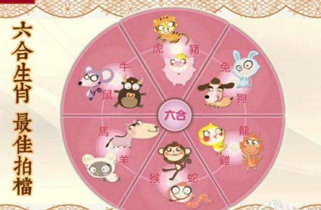 属猴的婚配更佳配偶,1980年属猴的更佳配偶