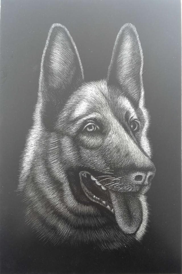 2年属狗的交运时间表,82年属狗十年大运2022