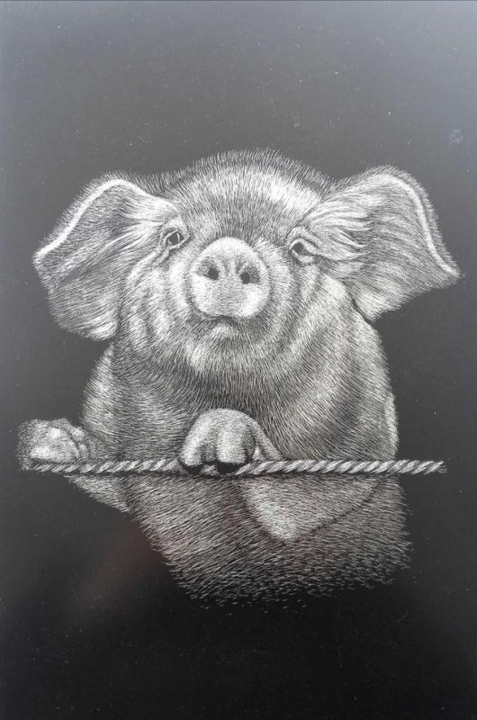 2年属狗的交运时间表,82年属狗十年大运2022