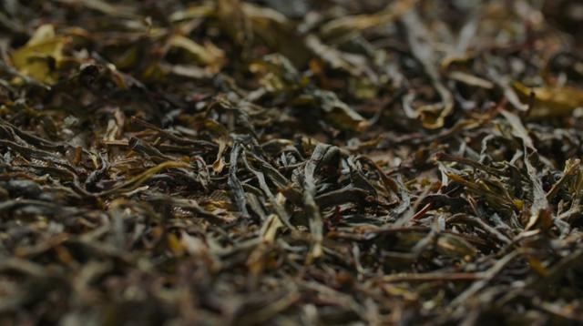 八十多岁属羊是哪一年，6岁属羊是哪年出生