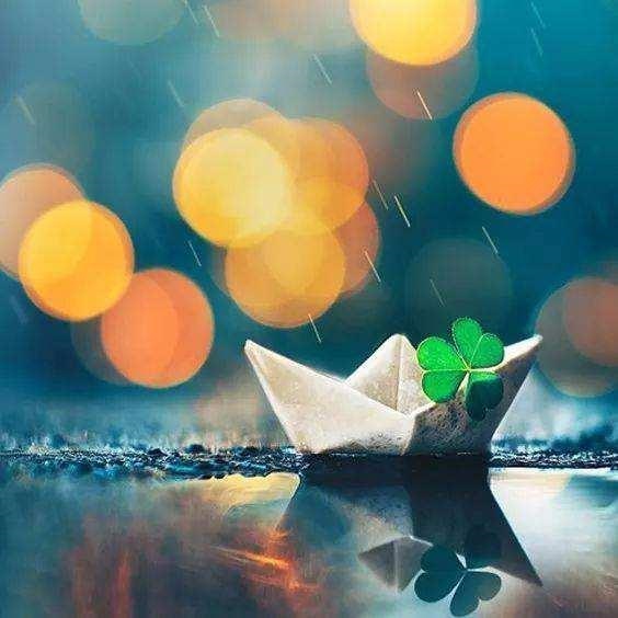 虎和羊兄妹合适吗，生肖虎羊兄妹