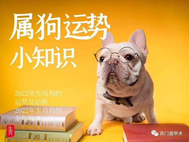 0属狗2022年运势，1970年属狗2022