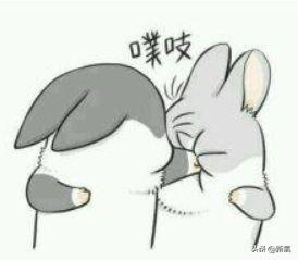 八几年的羊多大，1955年属羊男