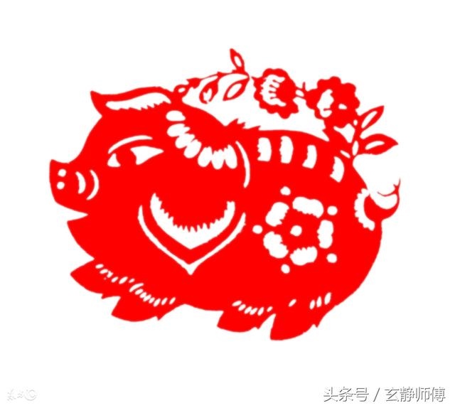 属猪的2022年今年多大,2022年生肖猪