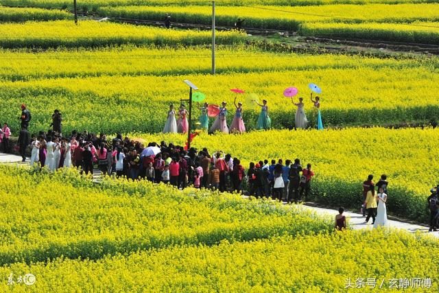 属蛇跟属马的婚姻状况，1991属羊女和属羊男相配吗
