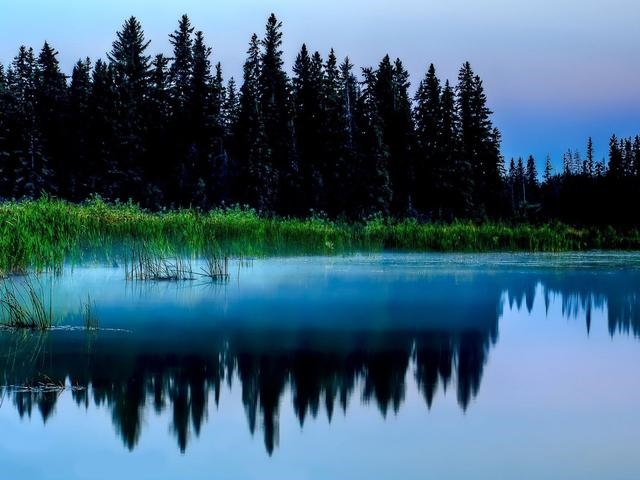 0年属狗男十一月的运势，属狗40岁后有十年大运"