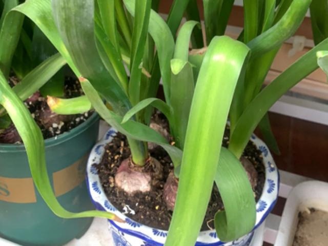 几月的兔是烂兔，1999年属兔几月是破月