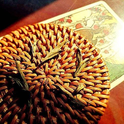 虎和羊兄妹合适吗，生肖虎羊兄妹