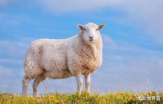 属猴和属羊婚姻相配吗，属猴与属羊相结合怎么样