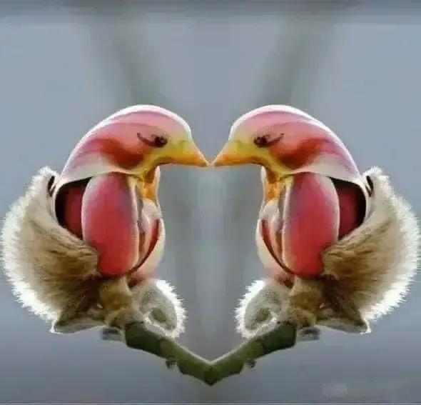 注定短命的出生日期，属兔的出生年份