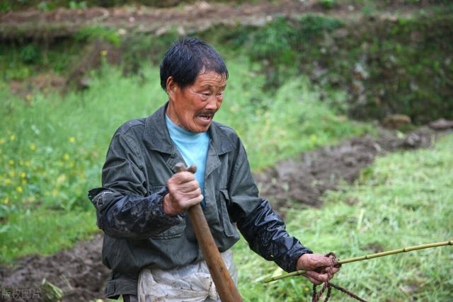 生肖属牛一生的克星是谁，73属牛的三大贵人