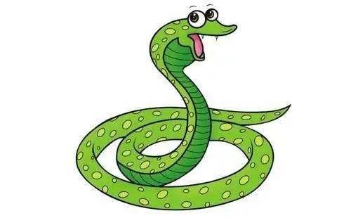 022年十二生肖运势,麦玲玲2022年12生肖运势解析"