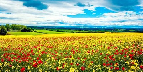 每日运势解读免费6月29日，今日运程每日运势免费