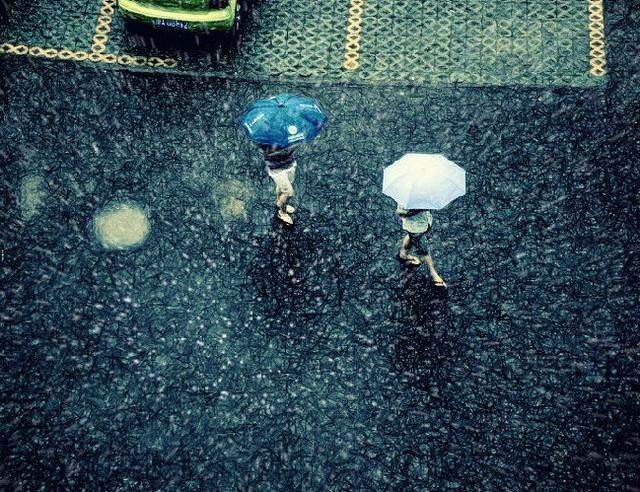 972年属鼠男婚外情，属鼠几月命苦"