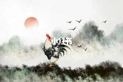 男91属羊女93属鸡配吗，1991年男跟1993女婚配