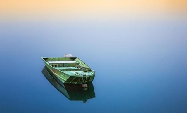 属相真羊与假羊哪个好，什么是真羊什么是假阳