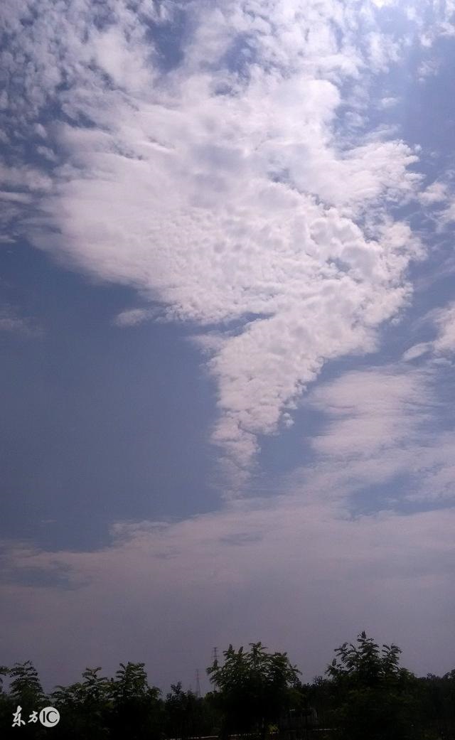 几月出生属羊富豪命，女人属羊几月份命不好