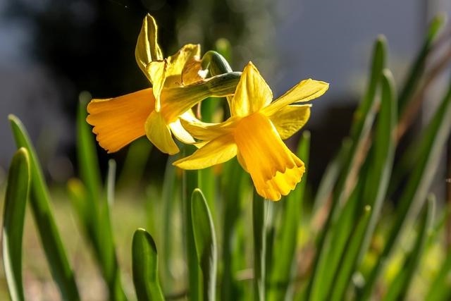 022年流年走8的运势,壬寅年2022甲木弱"