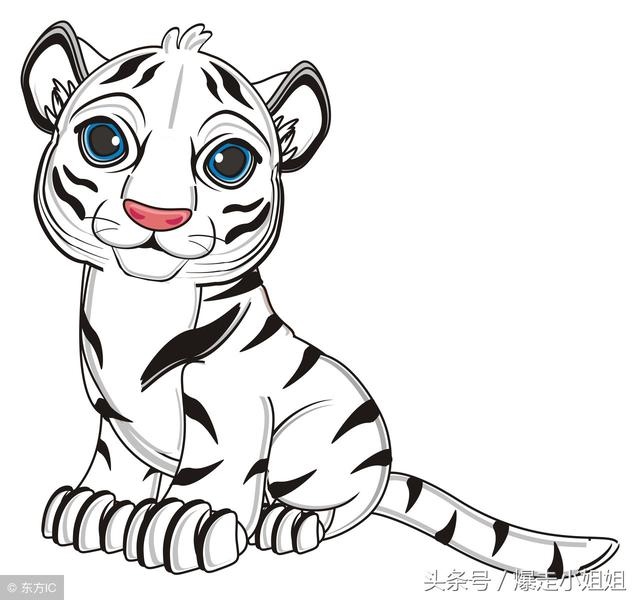 1年属羊多少岁走大运，属羊的什么时候交运"