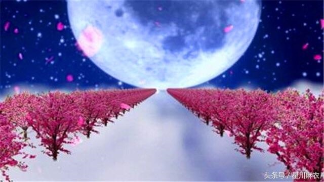 属羊怎么招正桃花,79年属羊的婚姻桃花劫