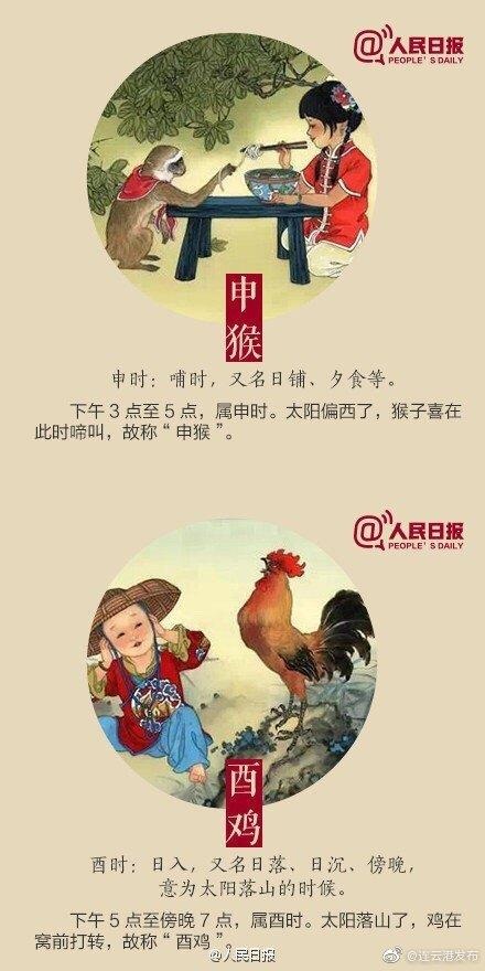 十二生肖排序表图排位，正版2022 生肖卡