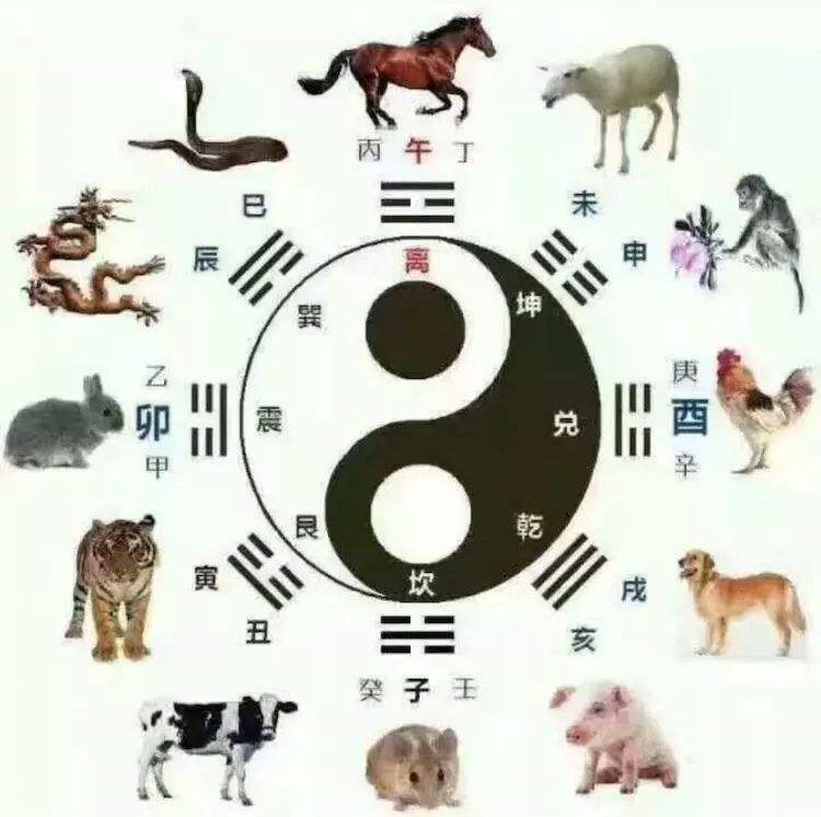 属鼠女和属鸡男相配吗,93鸡男和96鼠的姻缘