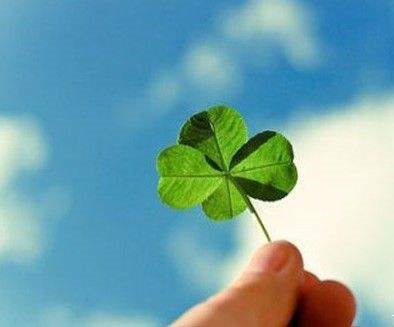 022感情运势免费测试，狮子座2022