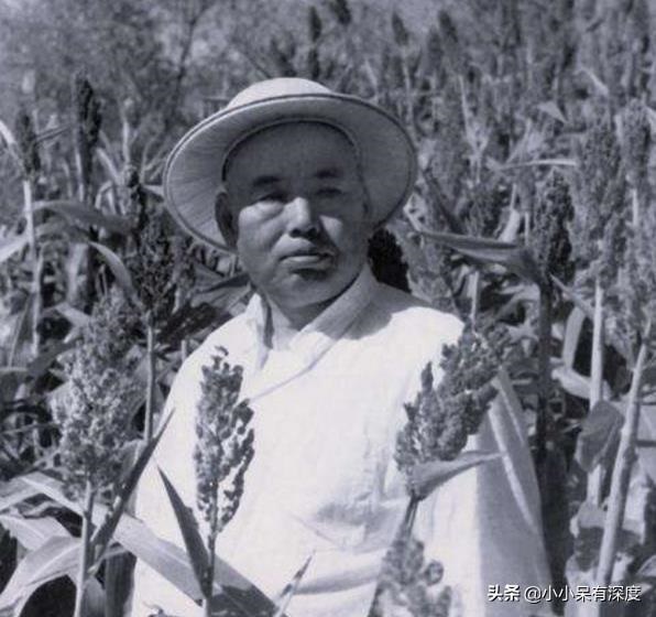 属蛇人一辈子的婚姻，属蛇的几月女人命好