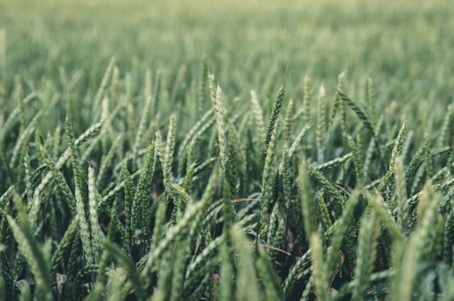 漂亮还优秀的生肖女，素颜耐看的生肖女