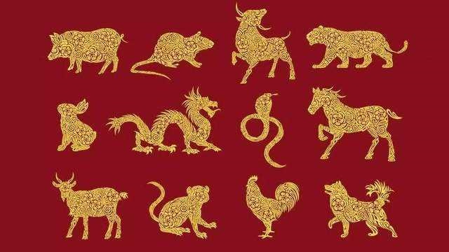 十二生肖今日运势查询,12生肖每日每月运势查询