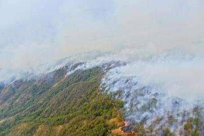 995年山头火命五行缺什么，1995年出生的人五行缺什么"