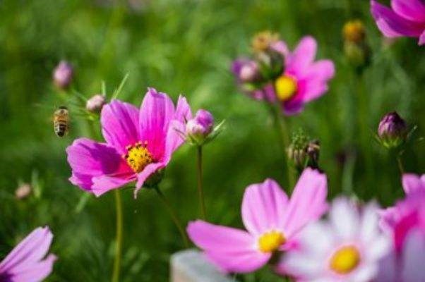 属兔男人富贵的出生日,属兔的人出生时辰详解