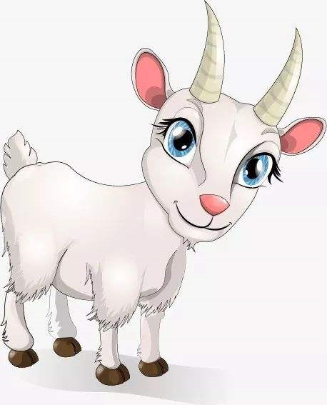 女属羊的婚配属相更好，79年属羊42岁每月运气