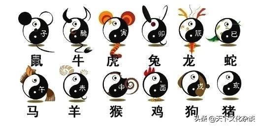 十二生肖属蛇今年运势，十二生肖与人生运势