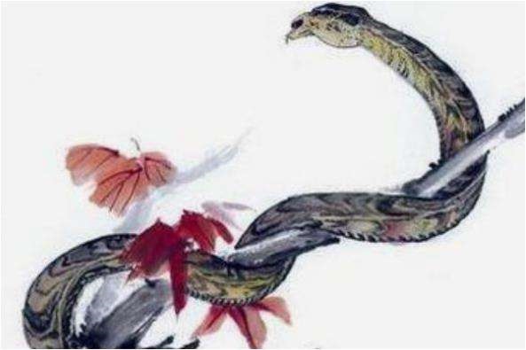 属蛇的农历每月运势,属蛇的下半年每月运势