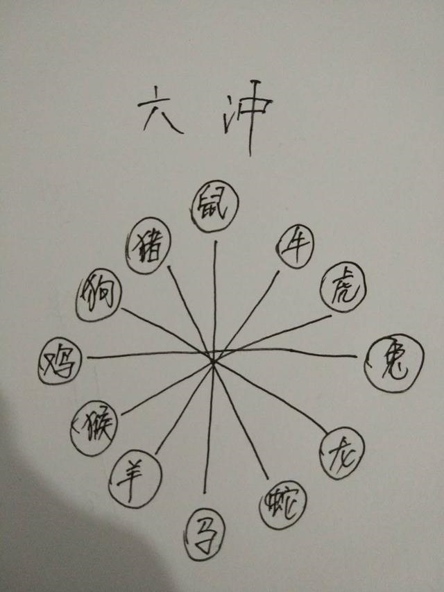 属蛇三合和三冲属相,蛇三合和六个合生肖