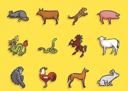 属龙的忌配生肖是什么，属龙生肖女适合什么生肖